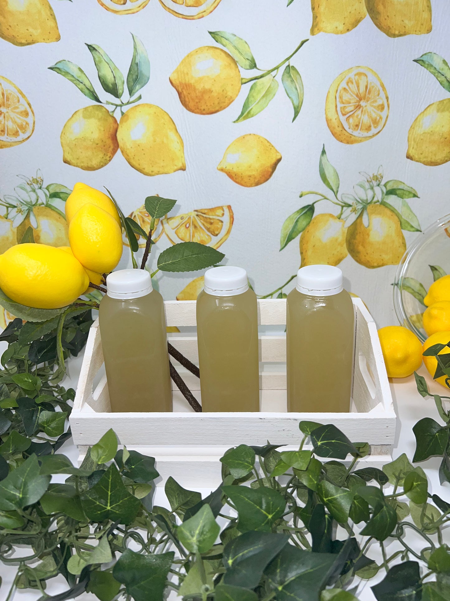QUENCH/REFRESH SEA MOSS LEMONADE SAME FLAVOR 3-PACK